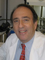 Headshot of Jay Levy, MD (Emeritus)