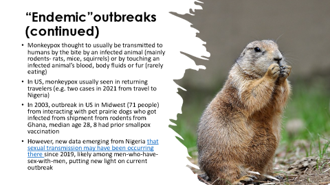 Details about 'endemic' outbreaks next to a picture of a squirrel